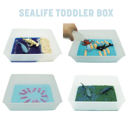 Taste safe Sea Life Toddler Sensory Box