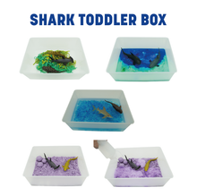 Load image into Gallery viewer, Taste safe Shark Toddler Sensory Box